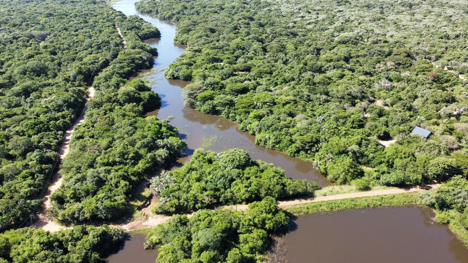 Wetlands & coastal adventures